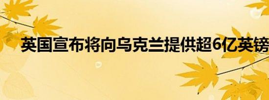英国宣布将向乌克兰提供超6亿英镑援助