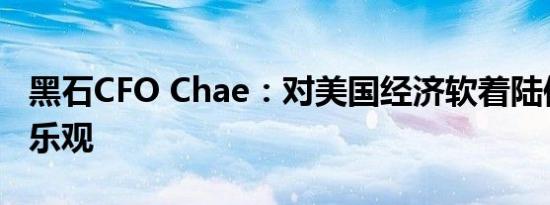 黑石CFO Chae：对美国经济软着陆保持谨慎乐观