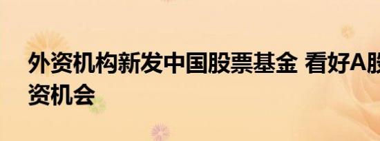 外资机构新发中国股票基金 看好A股长期投资机会