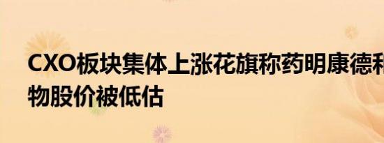 CXO板块集体上涨花旗称药明康德和药明生物股价被低估