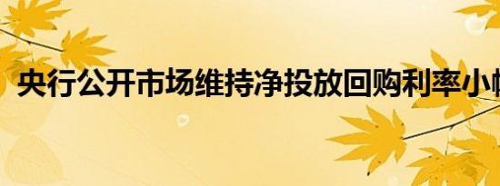 央行公开市场维持净投放回购利率小幅走低