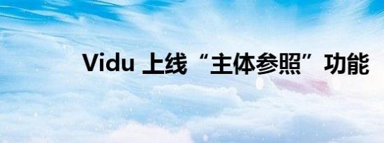 Vidu 上线“主体参照”功能 
