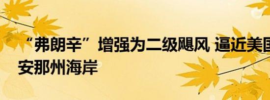 “弗朗辛”增强为二级飓风 逼近美国路易斯安那州海岸