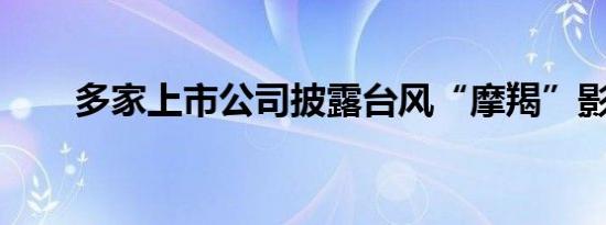 多家上市公司披露台风“摩羯”影响