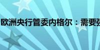 欧洲央行管委内格尔：需要强大而稳健的银行