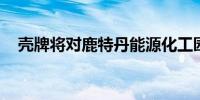壳牌将对鹿特丹能源化工园进行重大维护