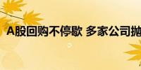 A股回购不停歇 多家公司抛出大额回购计划