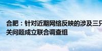合肥：针对近期网络反映的涉及三只羊网络科技有限公司有关问题成立联合调查组