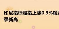印尼指标股指上涨0.9%触及7902.121点的纪录新高