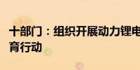 十部门：组织开展动力锂电池运输龙头企业培育行动