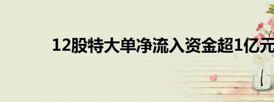 12股特大单净流入资金超1亿元