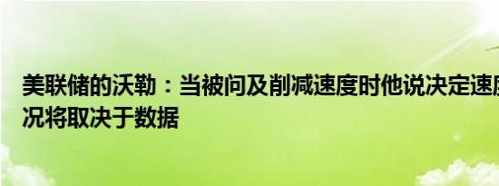 美联储的沃勒：当被问及削减速度时他说决定速度的几种情况将取决于数据