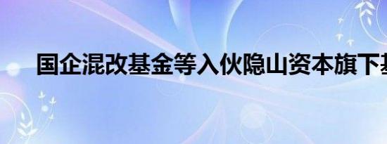 国企混改基金等入伙隐山资本旗下基金
