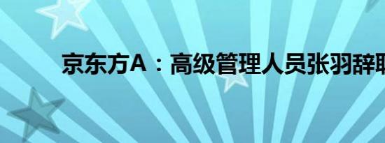 京东方A：高级管理人员张羽辞职