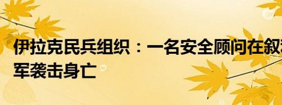 伊拉克民兵组织：一名安全顾问在叙利亚遭以军袭击身亡