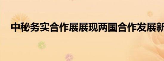 中秘务实合作展展现两国合作发展新动能
