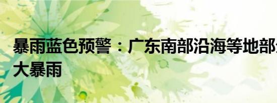 暴雨蓝色预警：广东南部沿海等地部分地区有大暴雨