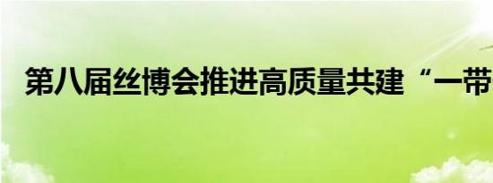 第八届丝博会推进高质量共建“一带一路”