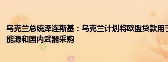 乌克兰总统泽连斯基：乌克兰计划将欧盟贷款用于空中防御、能源和国内武器采购