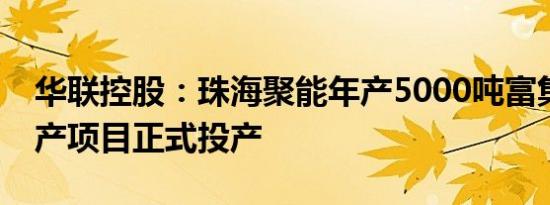 华联控股：珠海聚能年产5000吨富集材料生产项目正式投产