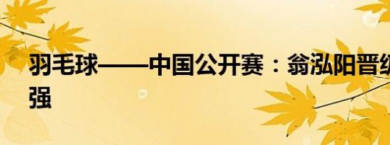 羽毛球——中国公开赛：翁泓阳晋级男单四强
