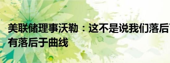 美联储理事沃勒：这不是说我们落后了我们没有落后于曲线