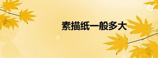 素描纸一般多大
