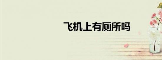 飞机上有厕所吗