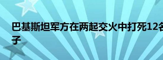 巴基斯坦军方在两起交火中打死12名武装分子