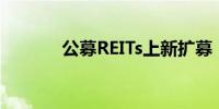 公募REITs上新扩募“加速跑”