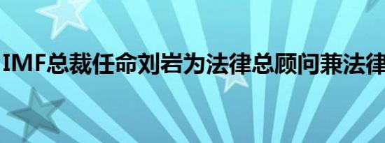 IMF总裁任命刘岩为法律总顾问兼法律部主任