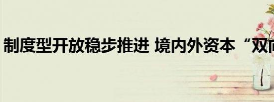 制度型开放稳步推进 境内外资本“双向奔赴”