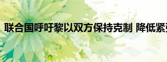 联合国呼吁黎以双方保持克制 降低紧张局势