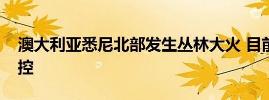 澳大利亚悉尼北部发生丛林大火 目前火势失控