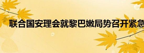 联合国安理会就黎巴嫩局势召开紧急会议