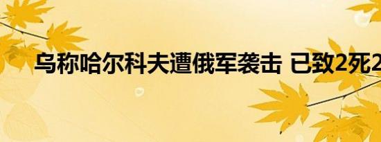乌称哈尔科夫遭俄军袭击 已致2死21伤