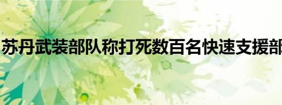 苏丹武装部队称打死数百名快速支援部队成员