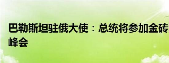 巴勒斯坦驻俄大使：总统将参加金砖国家喀山峰会