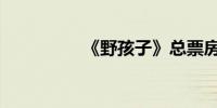 《野孩子》总票房破2亿