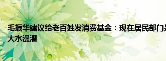 毛振华建议给老百姓发消费基金：现在居民部门是干涸的要大水漫灌