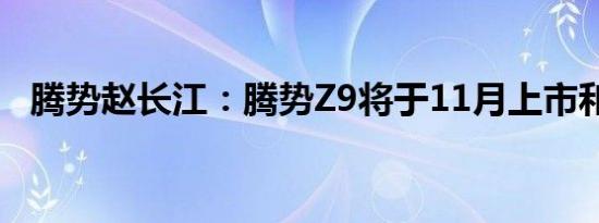腾势赵长江：腾势Z9将于11月上市和交付