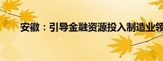 安徽：引导金融资源投入制造业领域