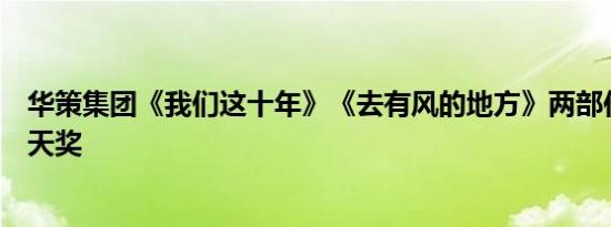 华策集团《我们这十年》《去有风的地方》两部作品捧得飞天奖