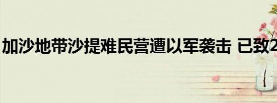 加沙地带沙提难民营遭以军袭击 已致2人死亡