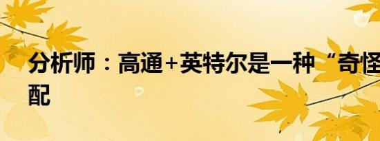 分析师：高通+英特尔是一种“奇怪 ”的匹配
