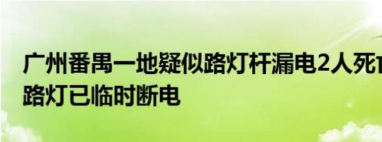 广州番禺一地疑似路灯杆漏电2人死亡事发地路灯已临时断电