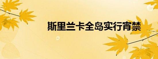 斯里兰卡全岛实行宵禁