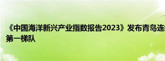 《中国海洋新兴产业指数报告2023》发布青岛连续三年位居第一梯队