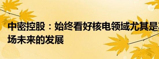 中密控股：始终看好核电领域尤其是其存量市场未来的发展