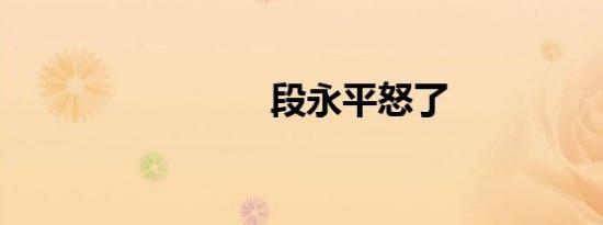 段永平怒了